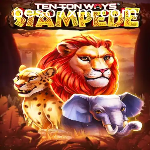 Experience the Adventure of TenTonWaysStampede